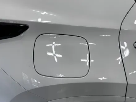 [모터가드존] ppf 보호필름 랩핑! 렉서스 nx450h (본넷 +사이드미러+b,c필러+생활보호필름) / 부천 상이로
