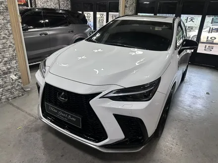 [모터가드존] ppf 보호필름 랩핑! 렉서스 nx450h (본넷 +사이드미러+b,c필러+생활보호필름) / 부천 상이로