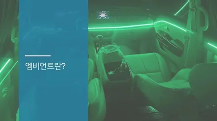 안산 더 뉴 카니발 엠비언트 라이트 시공후기! / 안산,시흥,화성