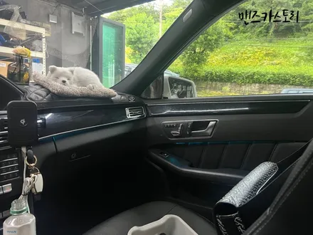 벤츠 E 클래스 W212에 순정 엠비언트가 너무 약하다면?? 벤츠 E 클래스 엠비언트 순정 광량 업그레이드 / 안산,시흥,화성
