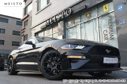 카스킨 머스탱 인기있는 랩핑필름은? / 성남시 중원구 여수동