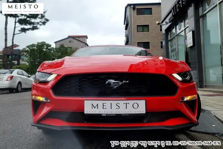 머스탱 컨버터블 4선 바이퍼데칼 랩핑 / 성남시 중원구 여수동