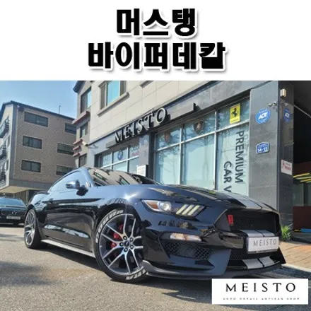 분당랩핑 머스탱 바이퍼데칼 포인트 드레스업 튜닝 / 성남시 중원구 여수동