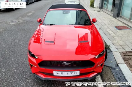 머스탱 컨버터블 4선 바이퍼데칼 랩핑 / 성남시 중원구 여수동