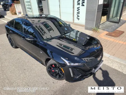 캐딜락 CT5 포인트 바이퍼 데칼 시공 / 성남시 중원구 여수동