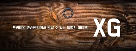 johnson 프리미엄 신제품 존슨썬팅 XG G80시공