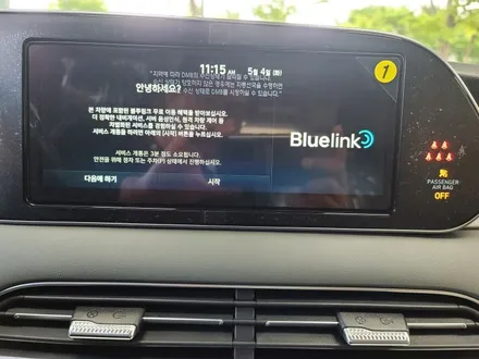 부산팰리세이드신차패키지 레이노얼티넘과 꿀조합!