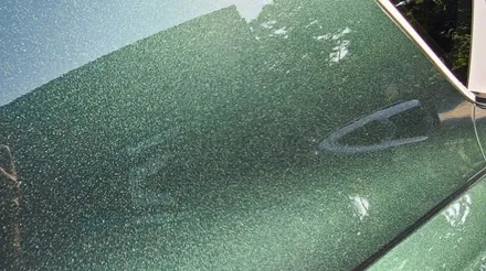 2022 gv80 카티프그린 색상 차량 비반사 썬팅