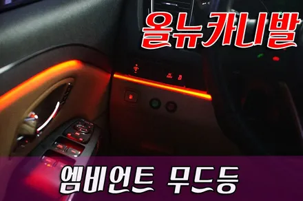 올뉴카니발 엠비언트 무드등 작업 / 화성 봉담