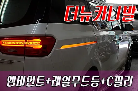 더뉴카니발 해신LED 엠비언트무드등 + 광섬유 엠비언트무드등 + 레일무드등 + C필러 플레이트 작업 / 화성 봉담