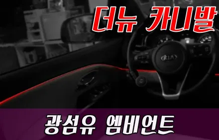 더뉴 카니발 광섬유엠비언트 / 화성 봉담