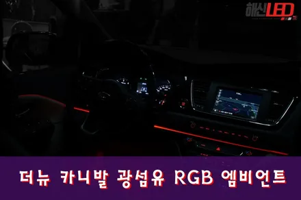 더뉴 카니발 광섬유 RGB 엠비언트 / 화성 봉담