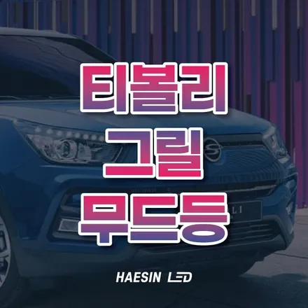 티볼리 그릴 무드등으로 자동차 튜닝 포인트를 주자! / 화성 봉담