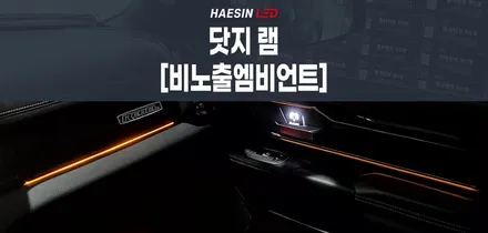 닷지 램 픽업트럭의 변신! 블랙 시트와 잘어울리는 LED무드등 엠비언트라이트 / 화성 봉담