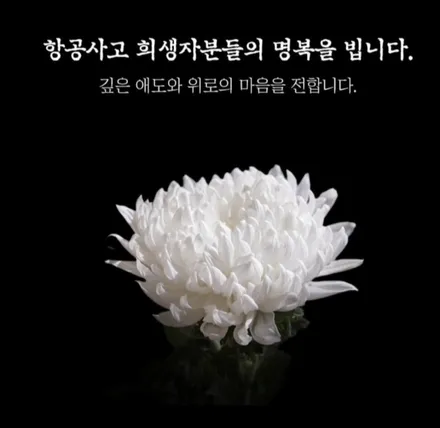 벤츠 지바겐직수입차량 국내신규안전인증작업 / 화성 봉담