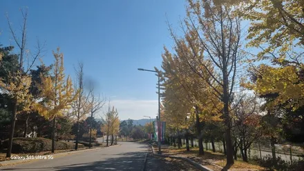 포르쉐 카이엔 직수입차량 국내신규안전인증작업 / 화성 봉담