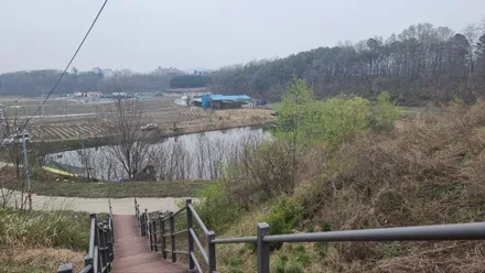 K5 DL3아크릴엠비언트로 실내 업글하고 벚꽃길 만끽하자!! / 화성 봉담, 오산, 수원