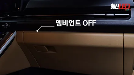 기아 카니발 KA4 차량 엠비언트튜닝으로 패밀리카의 변신! / 화성 봉담