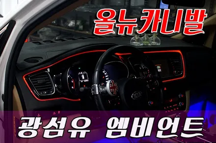 올뉴카니발 광섬유엠비언트,해신LED엠비언트 / 화성 봉담