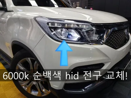인천 hid 전구 수리, 교체 맛집으로 필립스 대리점 방문 / 인천 부평, 부천