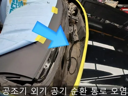 부산 강서구 명지동 차유리, 자동차 유리 교환 장인 만났다! / 인천 부평, 부천
