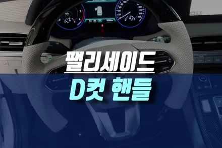 팰리세이드 D컷핸들로 스포티한 감성 마력 높이기 / 인천, 미추홀