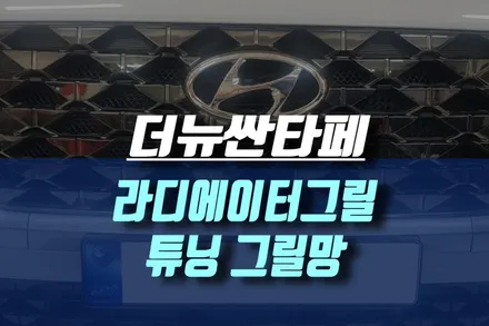 더뉴싼타페 라디에이터 그릴 튜닝 그릴망 시공 / 인천, 미추홀