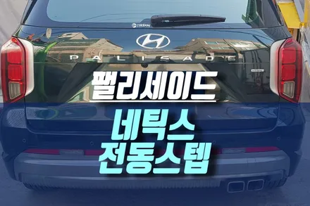 인천 더 뉴 팰리세이드 신형 네틱스 전동사이드스텝 용품 튜닝 / 인천, 미추홀