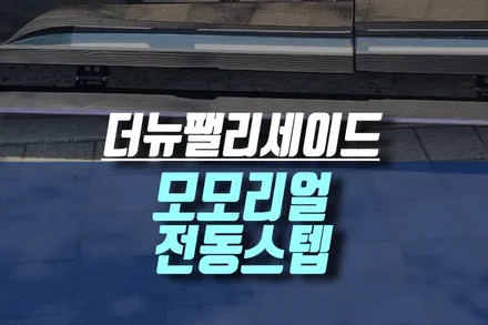 더뉴팰리세이드 LED 전동 사이드스텝, 모모리얼 MX 용품으로 발판 설치 / 인천, 미추홀