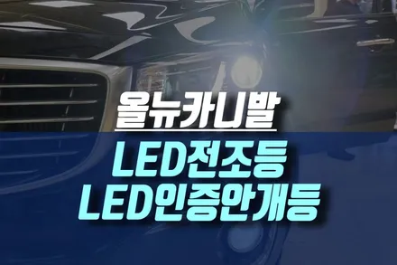 올뉴카니발 순정 HID 전조등 D3S 전구로 광량업 할로겐 안개등 LED 로 업그레이드 튜닝기 / 인천, 미추홀