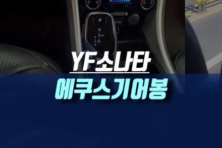 YF 소나타 차량에 전자식 자동 후깜 비상등 클락션 기능있는 에쿠스기어봉 장착 / 인천, 미추홀 주안동