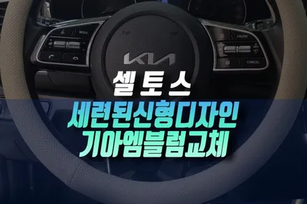 인천 셀토스 구형 엠블럼 신형으로 전면 후면 범퍼 핸들 에어백 휠캡 기아 순정 마크 변경 교체기 / 인천, 미추홀 주안동