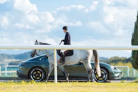 포르쉐 포레스트 그린 porsche forest green 내차에 랩핑하면 어울릴까? / 강남구 역삼동