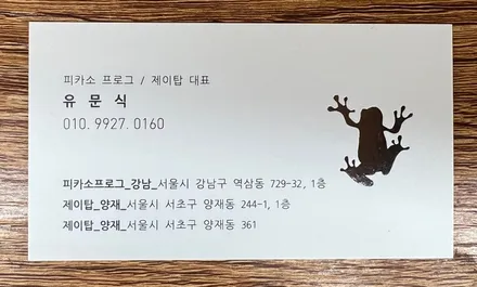 파나메라 순정PPF 가 너무 누렇게 변했어요 / 강남구 역삼동