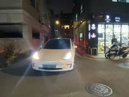 테슬라 슈니트ppf시공@테슬라무료대차 / 강남구 역삼동