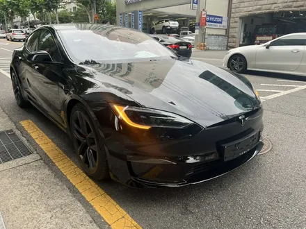 유광차량에 무광ppf 작업이 가능한가요??? / 강남구 역삼동