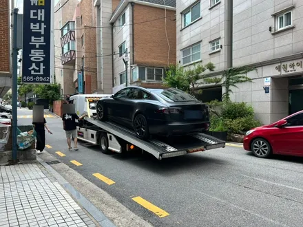 유광차량에 무광ppf 작업이 가능한가요??? / 강남구 역삼동