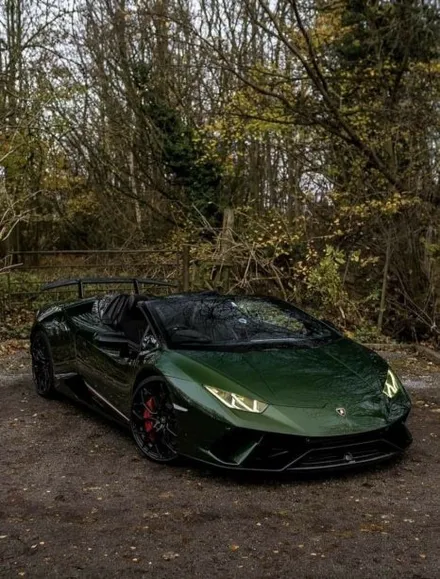포르쉐 포레스트 그린 porsche forest green 내차에 랩핑하면 어울릴까? / 강남구 역삼동