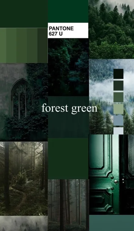 포르쉐 포레스트 그린 porsche forest green 내차에 랩핑하면 어울릴까? / 강남구 역삼동