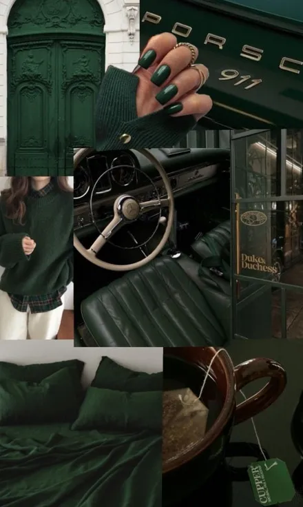 포르쉐 포레스트 그린 porsche forest green 내차에 랩핑하면 어울릴까? / 강남구 역삼동