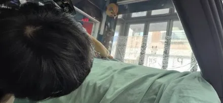 영종도 썬팅 / BMW Z4 전체썬팅 재시공 / 레이노 전문점