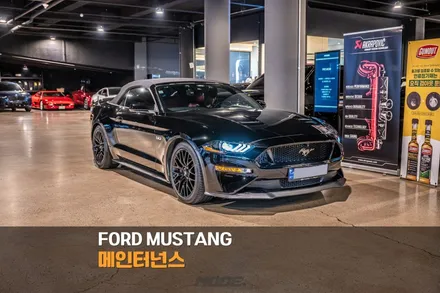분당 엔진오일 교환 포드 머스탱 GT 컨버터블 / 성남시 분당구 서현동