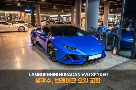 분당 냉각수 브레이크 오일 교환 람보르기니 우라칸 에보 스파이더 / 성남시 분당구 서현동