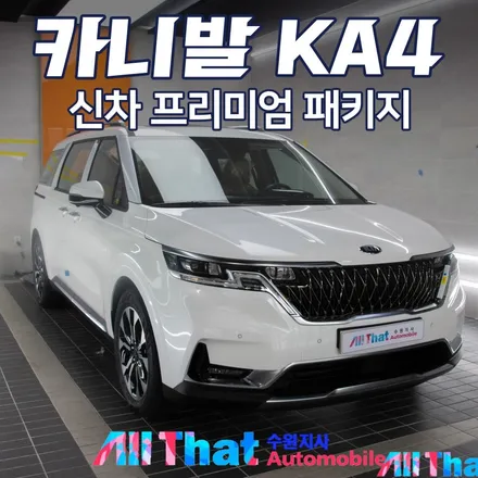 카니발을 더 카니발답게하는 상품들 모음 / 수원시 오목천동