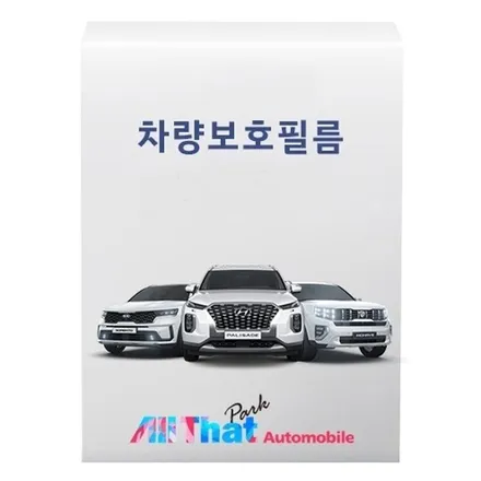 수원 더뉴카니발KA4 차량보호필름 PPF 시공부위 및 시공가격