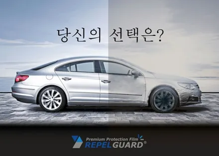 PPF 생활보호패키지 무황변 10년보증 후지야마리펠가드! / 부산 수영구 망미동