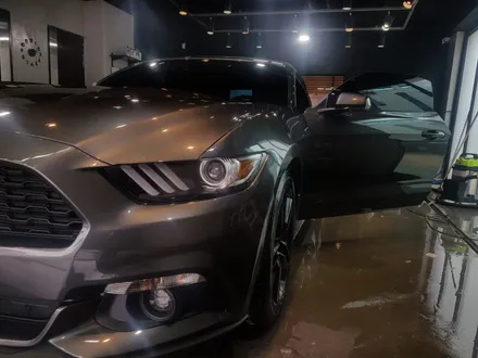 스팀세차 포드 머스탱 송진가루까지 한번에 쏵!! / 경기 평택