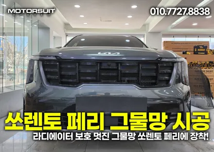 라디에이터 보호 멋진 그물망 쏘렌토 페리에 장착! / 부천, 인천