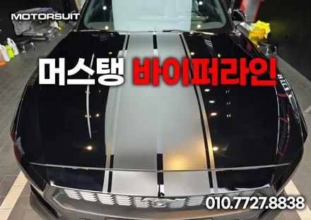 머스탱 남들과는 다른차 바이퍼라인 데칼 작업 / 부천, 인천