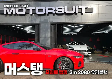 머스탱 포인트 데칼 랩핑 루프스킨 한곳에서 마무리 / 부천, 인천